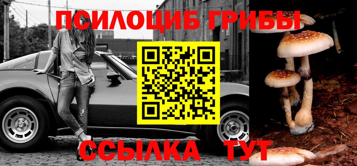Псилоцибиновые грибы Cubensis  Псилоцибиновые грибы мухоморы  Вход с VPN  Саратов 