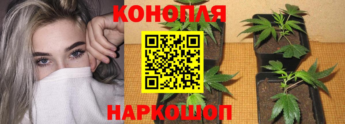 Саратов  Бошки марихуана LSD WEED  Каннабис SATIVA & INDICA  Бошки Шишки тримм  Вход с VPN 